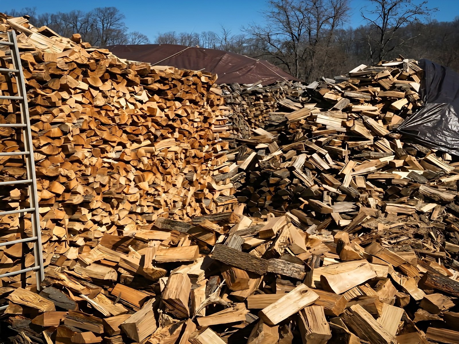 FIREWOOD 2